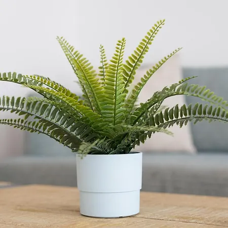 Apartamento Home2book Modern Oasis & Pool Near Corralejo