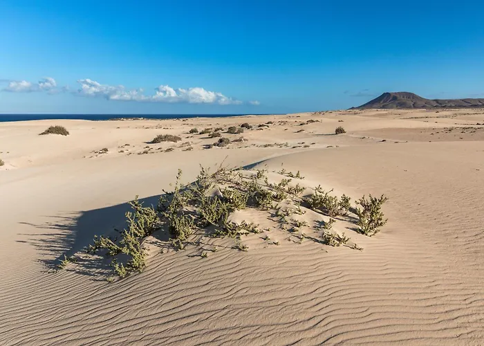 Home2book Modern Oasis & Pool Near Corralejo Apartmán La Oliva