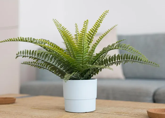 Apartmán Home2book Modern Oasis & Pool Near Corralejo