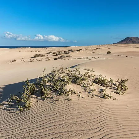 Home2book Modern Oasis & Pool Near Corralejo 아파트 라 올리바